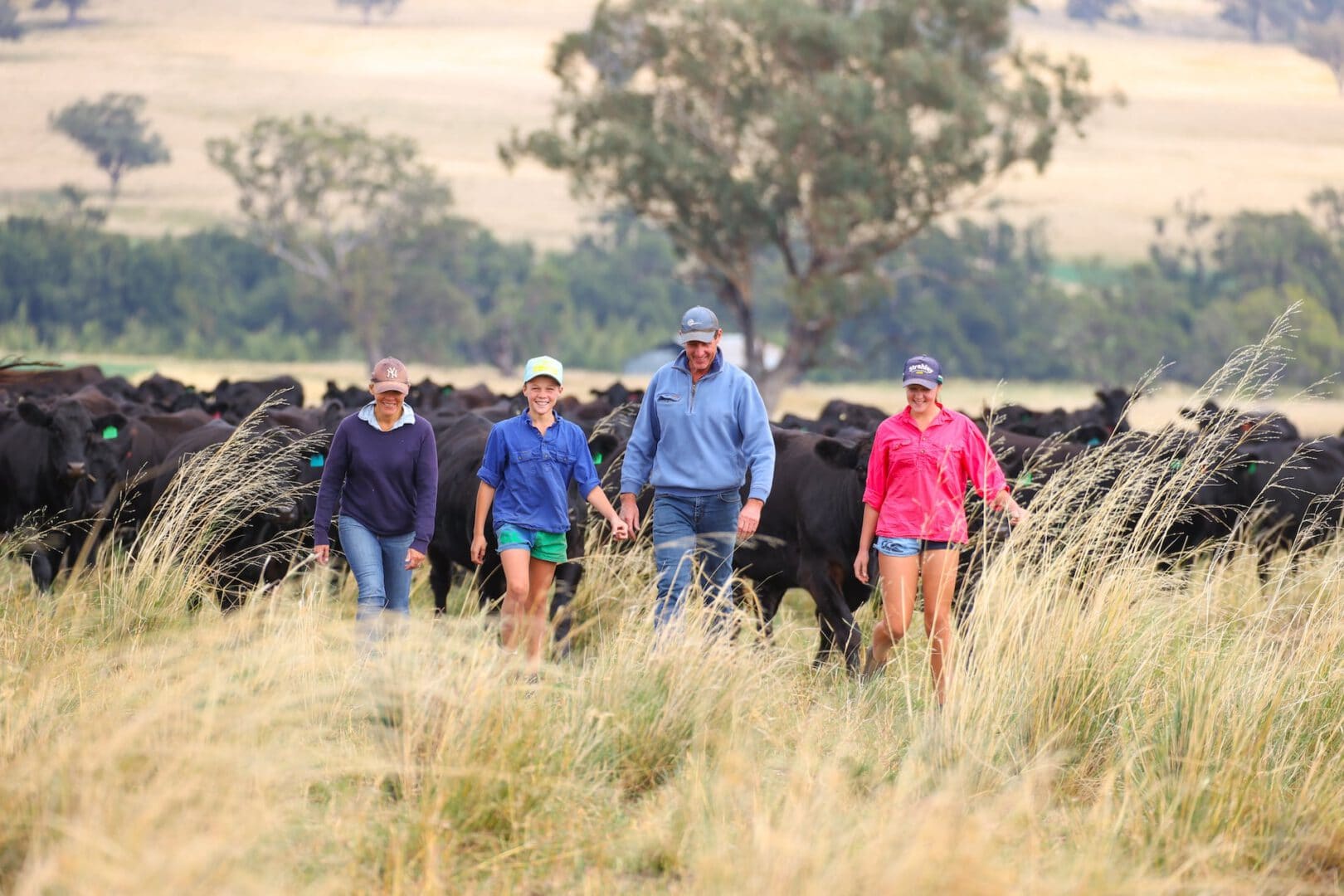 Happy family with Angus cattle