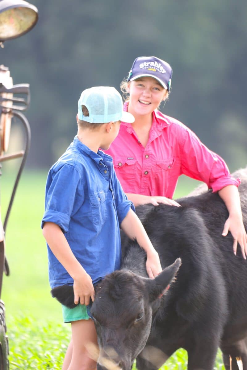 Kids patting Bluestone Beef cattle